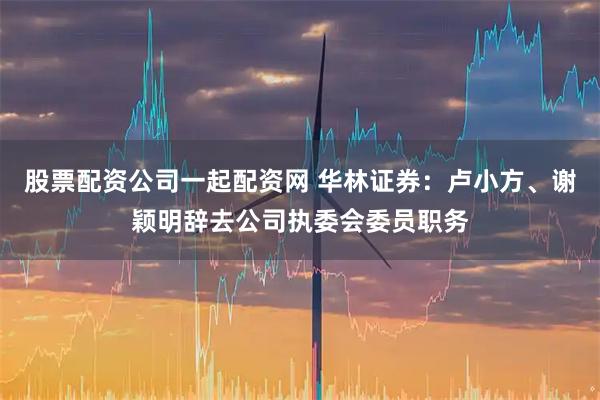 股票配资公司一起配资网 华林证券：卢小方、谢颖明辞去公司执委会委员职务