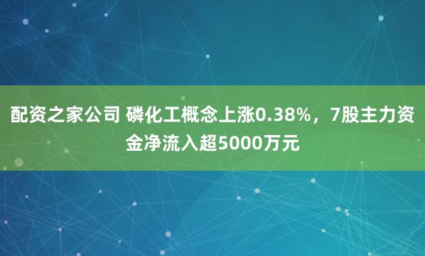 配资之家公司 磷化工概念上涨0.38%，7股主力资金净流入超5000万元